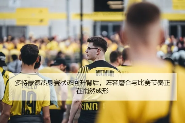 多特蒙德热身赛状态回升背后，阵容磨合与比赛节奏正在悄然成形 - Sina Sports